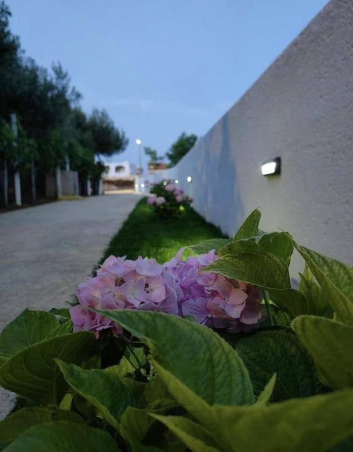 Apartment 4Reasons Razanac Bagian luar foto